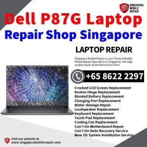 Dell P87G Laptop Repair Singapore-Dell Laptop 修理中心