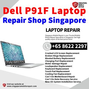 Dell P91F Laptop Repair Singapore-Dell Laptop 修理中心