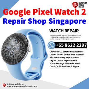 Google Pixel Watch 2 Repair Shop Singapore-Pixel Watch 修理中心
