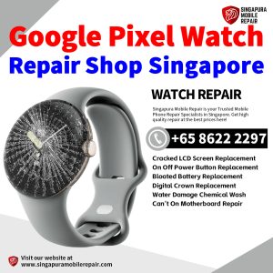 Google Pixel Watch 3 2 4 5 Repair Shop Singapore-Pixel Watch 修理中心