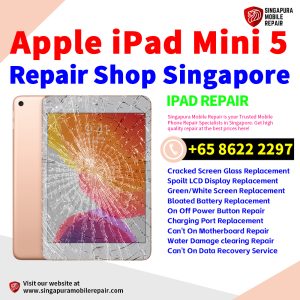 Best iPad Mini 5 Repair Shop Singapore-Apple iPad 修理中心