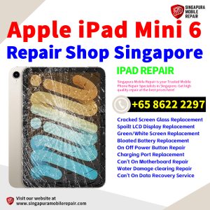 Best iPad Mini 6 Repair Shop Singapore-Apple iPad 修理中心