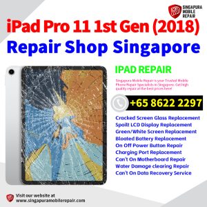 Cheapest Best iPad Pro 11 1st Gen (2018) Repair Service Center Shop Singapore