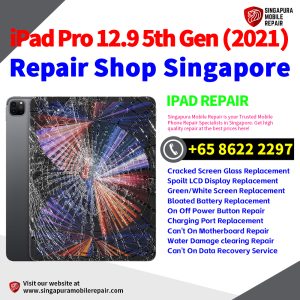 Best iPad Pro 12.9 5th Gen (2021) Repair Shop Singapore-Apple iPad 修理中心