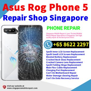 Cheapest Asus Rog Phone 5 Repair Service Center Shop Singapore