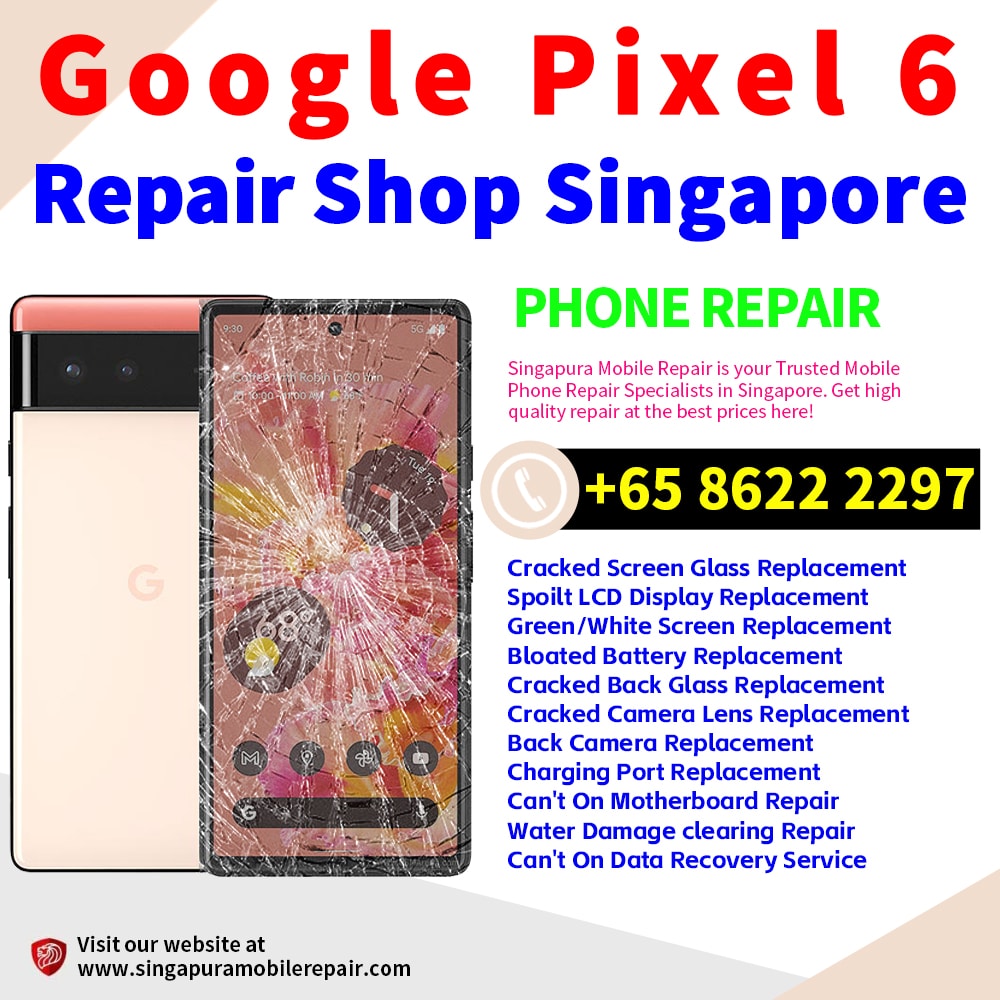 Cheapest Google Pixel 6 Repair Service Center Shop Singapore