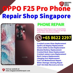 Cheapest OPPO F25 Pro Repair Service Center Shop Singapore