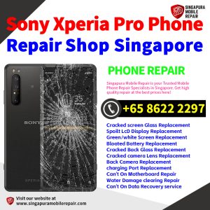 Cheapest Sony Xperia Pro Repair Service Center Shop Singapore