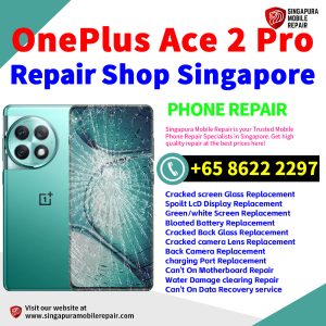 Cheapest OnePlus Ace 2 Pro Repair Service Center Shop Singapore