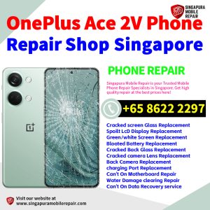 Cheapest OnePlus Ace 2V Repair Service Center Shop Singapore