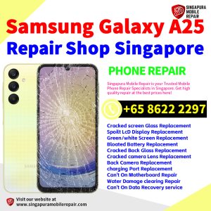 Cheapest Samsung Galaxy A25 Repair Service Center Shop Singapore