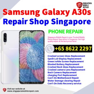 Cheapest Samsung Galaxy A30s Repair Service Center Shop Singapore